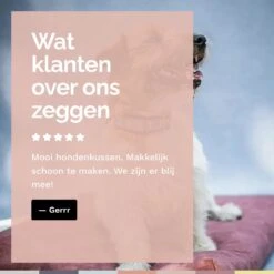 Rexproduct Hondenkussen - Hondenmand - Hondenbed Met Rits En Wasbaar - Manden & Kussens 90 X 110 CM - 0 Tot 80 Kg - SoftPet Groen -Hondenspullen Verkoop 1200x1200 736
