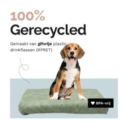 Rexproduct Hondenkussen - Hondenmand - Hondenbed Met Rits En Wasbaar - Manden & Kussens 90 X 110 CM - 0 Tot 80 Kg - SoftPet Groen -Hondenspullen Verkoop 1200x1200 737