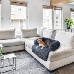 Origineel Hondendeken Voor Bank– Hondenkleed Fluffy – Pluche Hondenbed - Hondenmand Premium - Volledig Afritsbaar -Hondenspullen Verkoop 1200x1200 739