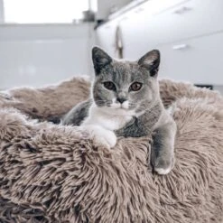 District 70 FUZZ - Hondenmand Comfortabel En Zacht Pluche - Zand, Oudroze, Donkergrijs En Lichtgrijs In S/M/L/XL - Maat: Large, Kleur: Zand -Hondenspullen Verkoop 1200x1200 754