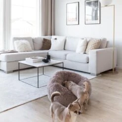 District 70 FUZZ - Hondenmand Comfortabel En Zacht Pluche - Zand, Oudroze, Donkergrijs En Lichtgrijs In S/M/L/XL - Maat: Medium, Kleur: Zand -Hondenspullen Verkoop 1200x1200 761