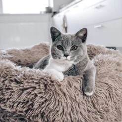 District 70 FUZZ - Hondenmand Comfortabel En Zacht Pluche - Zand, Oudroze, Donkergrijs En Lichtgrijs In S/M/L/XL - Maat: Medium, Kleur: Zand -Hondenspullen Verkoop 1200x1200 762