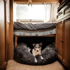 District 70 FUZZ - Hondenmand Comfortabel En Zacht Pluche - Zand, Oudroze, Donkergrijs En Lichtgrijs In S/M/L/XL - Maat: Medium, Kleur: Zand -Hondenspullen Verkoop 1200x1200 765