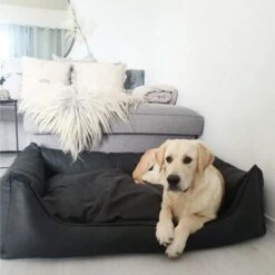 Maxxnobel Orthopedisch Hondenkussen - Lederlook/Teddy - M - 100 X 80 Cm - Zwart 13 Maxxnobel Orthopedisch Hondenkussen - Lederlook/Teddy - M - 100 X 80 Cm - Zwart -Hondenspullen Verkoop 1200x1200 769