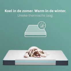 CozySense® - Orthopedisch Hondenkussen - Hondenkussen 100 X 70 Cm - Geschikt Als Benchkussen & Hondenbed - Hondenkussen Bank - Traagschuim - Waterdicht - Wasbare Hoes - Maat XL -Hondenspullen Verkoop 1200x1200 778