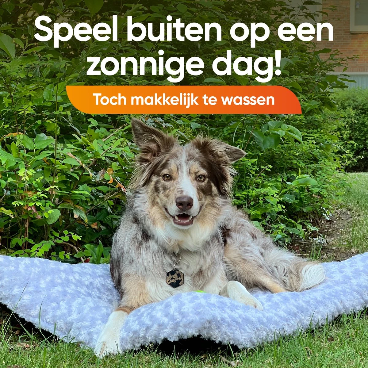 Happysnoots Hondenkussen 70 X 50cm - Hondenbed - Donut Dog Bed - Fluffy - Grijs - Wasbaar 5 Happysnoots Hondenkussen 70 X 50cm - Hondenbed - Donut Dog Bed - Fluffy - Grijs - Wasbaar - Afbeelding 3