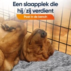 Happysnoots Hondenkussen 70 X 50cm - Hondenbed - Donut Dog Bed - Fluffy - Grijs - Wasbaar 19 Happysnoots Hondenkussen 70 X 50cm - Hondenbed - Donut Dog Bed - Fluffy - Grijs - Wasbaar -Hondenspullen Verkoop 1200x1200 794