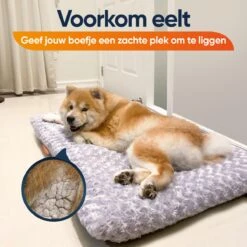 Happysnoots Hondenkussen 70 X 50cm - Hondenbed - Donut Dog Bed - Fluffy - Grijs - Wasbaar 20 Happysnoots Hondenkussen 70 X 50cm - Hondenbed - Donut Dog Bed - Fluffy - Grijs - Wasbaar -Hondenspullen Verkoop 1200x1200 795