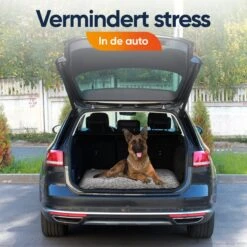 Happysnoots Hondenkussen 70 X 50cm - Hondenbed - Donut Dog Bed - Fluffy - Grijs - Wasbaar 21 Happysnoots Hondenkussen 70 X 50cm - Hondenbed - Donut Dog Bed - Fluffy - Grijs - Wasbaar -Hondenspullen Verkoop 1200x1200 796