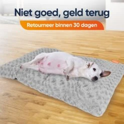 Happysnoots Hondenkussen 70 X 50cm - Hondenbed - Donut Dog Bed - Fluffy - Grijs - Wasbaar 22 Happysnoots Hondenkussen 70 X 50cm - Hondenbed - Donut Dog Bed - Fluffy - Grijs - Wasbaar -Hondenspullen Verkoop 1200x1200 797