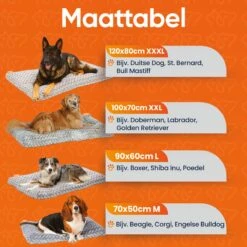 Happysnoots Hondenkussen 70 X 50cm - Hondenbed - Donut Dog Bed - Fluffy - Grijs - Wasbaar 29 Happysnoots Hondenkussen 70 X 50cm - Hondenbed - Donut Dog Bed - Fluffy - Grijs - Wasbaar -Hondenspullen Verkoop 1200x1200 804