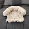 Kussen Voor Kat Of Kleine Hond | Fluffy Dierenkussen Van Pluche | Kat | Bank | Mand | Kattenmand | Kattendeken & Bankbeschermer Max. 15 Kg | Beige | Maat XS -Hondenspullen Verkoop 1200x1200 807