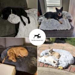 Premium Hondendeken Bank - Hondenkussens - Hondenmand Bank - Hondendeken Voor Op De Bank - Bankbeschermer - Donkergrijs -Hondenspullen Verkoop 1200x1200 815