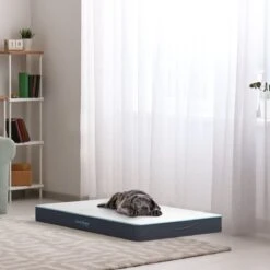 CozySense® - Orthopedisch Hondenkussen - Hondenkussen 90 X 55 Cm - Ook Geschikt Als Benchkussen & Hondenbed - Hondenkussen Bank - Traagschuim - Waterdicht - Wasbare Hoes - Maat L -Hondenspullen Verkoop 1200x1200 822