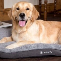 Scruffs Cosy - Comfortabel Hondenkussen In Grijs, Beige Of Karamel - Met Imitatie Suède Buitenvoering En Superzachte Binnenvoering - 100 X 70 Cm - Grijs -Hondenspullen Verkoop 1200x1200 829