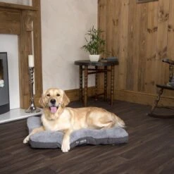Scruffs Cosy - Comfortabel Hondenkussen In Grijs, Beige Of Karamel - Met Imitatie Suède Buitenvoering En Superzachte Binnenvoering - 100 X 70 Cm - Grijs -Hondenspullen Verkoop 1200x1200 831