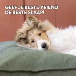 Snoozle Orthopedische Hondenmand - Zacht En Luxe Hondenkussen - Hondenbed - Wasbaar - Hondenmanden - 100 X 70 Cm - Groen -Hondenspullen Verkoop 1200x1200 842