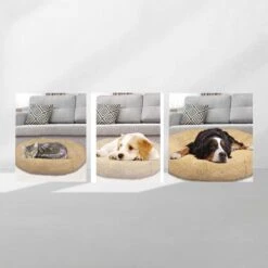 Peaceful Pooch L - Pluizig Hondenbed - 94cm Diameter - Opvouwbaar - In Verschillende Maten. Kattenbed - Wasbaar - Uitneembare Vulling - Ontspant Gewrichten En Spieren - Anti-slip Noppenbodem 8 Peaceful Pooch L - Pluizig Hondenbed - 94cm Diameter - Opvouwbaar - In Verschillende Maten. Kattenbed - Wasbaar - Uitneembare Vulling - Ontspant Gewrichten En Spieren - Anti-slip Noppenbodem -Hondenspullen Verkoop 1200x1200 851