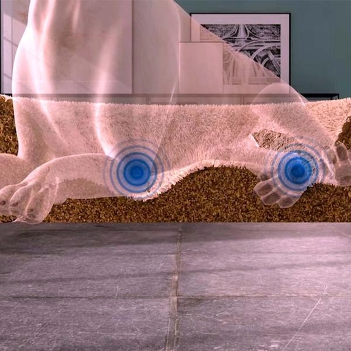 Peaceful Pooch L - Pluizig Hondenbed - 94cm Diameter - Opvouwbaar - In Verschillende Maten. Kattenbed - Wasbaar - Uitneembare Vulling - Ontspant Gewrichten En Spieren - Anti-slip Noppenbodem 6 Peaceful Pooch L - Pluizig Hondenbed - 94cm Diameter - Opvouwbaar - In Verschillende Maten. Kattenbed - Wasbaar - Uitneembare Vulling - Ontspant Gewrichten En Spieren - Anti-slip Noppenbodem - Afbeelding 4