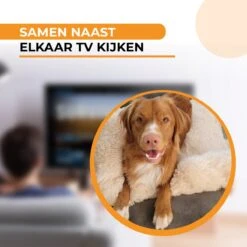 Origineel Hondendeken Voor Bank M – Hondenkleed Fluffy – Pluche Hondenbed - Hondenmand Premium - Volledig Afritsbaar - Beige -Hondenspullen Verkoop 1200x1200 871