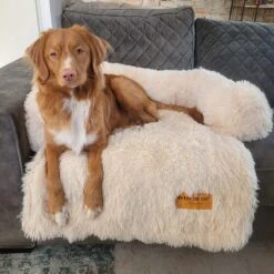 Origineel Hondendeken Voor Bank M – Hondenkleed Fluffy – Pluche Hondenbed - Hondenmand Premium - Volledig Afritsbaar - Beige -Hondenspullen Verkoop 1200x1200 874