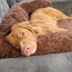 Origineel Hondendeken Voor Bank– Hondenkleed Fluffy – Pluche Hondenbed - Hondenmand Premium - Volledig Afritsbaar -Hondenspullen Verkoop 1200x1200 884