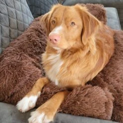 Origineel Hondendeken Voor Bank– Hondenkleed Fluffy – Pluche Hondenbed - Hondenmand Premium - Volledig Afritsbaar -Hondenspullen Verkoop 1200x1200 886