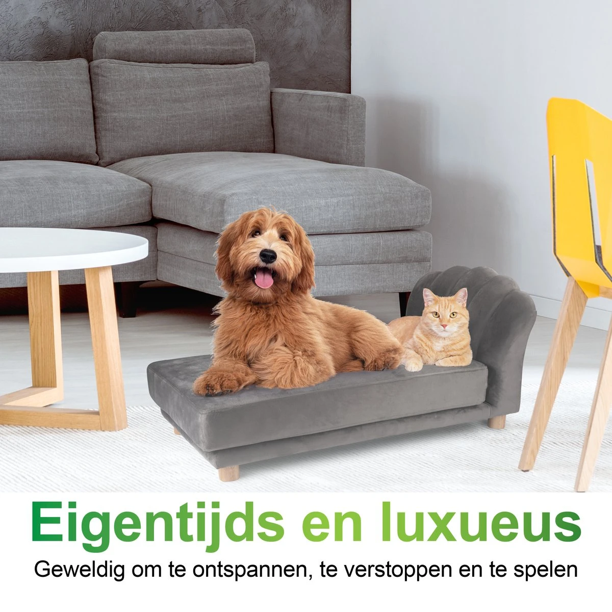Maxxpro Katten- En Hondenbank - Grijs - Verhoogd Met Houten Poten - Fluweel Materiaal - 90 X 44 X 34 Cm - Huisdieren Tot 80 KG 6 Maxxpro Katten- En Hondenbank - Grijs - Verhoogd Met Houten Poten - Fluweel Materiaal - 90 X 44 X 34 Cm - Huisdieren Tot 80 KG - Afbeelding 4
