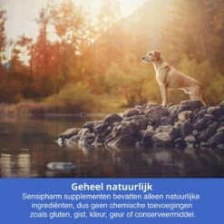 Sensipharm Bitterspray Anti Bijt Spray - Hond, Kat, Konijn & Vogel - Bitter Anti Kauw Knabbel Knaag - 100 Ml -Hondenspullen Verkoop 1200x1200 919