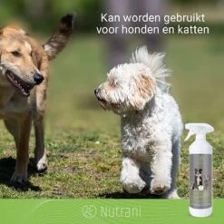 Nutrani Geurverwijderaar, 750 Ml, Natuurlijke Enzymreiniger Als Gebruiksklare Spray Met Biologische Werking, Verwijdert Geurtjes, Urine, Poep En Vlekken Van Honden En Katten 10 Nutrani Geurverwijderaar, 750 Ml, Natuurlijke Enzymreiniger Als Gebruiksklare Spray Met Biologische Werking, Verwijdert Geurtjes, Urine, Poep En Vlekken Van Honden En Katten -Hondenspullen Verkoop 1200x1200 942