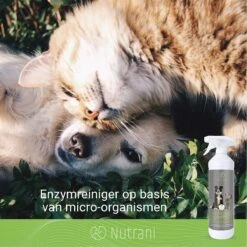 Nutrani Geurverwijderaar, 750 Ml, Natuurlijke Enzymreiniger Als Gebruiksklare Spray Met Biologische Werking, Verwijdert Geurtjes, Urine, Poep En Vlekken Van Honden En Katten 11 Nutrani Geurverwijderaar, 750 Ml, Natuurlijke Enzymreiniger Als Gebruiksklare Spray Met Biologische Werking, Verwijdert Geurtjes, Urine, Poep En Vlekken Van Honden En Katten -Hondenspullen Verkoop 1200x1200 943