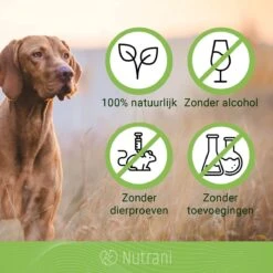 Nutrani Geurverwijderaar, 750 Ml, Natuurlijke Enzymreiniger Als Gebruiksklare Spray Met Biologische Werking, Verwijdert Geurtjes, Urine, Poep En Vlekken Van Honden En Katten 12 Nutrani Geurverwijderaar, 750 Ml, Natuurlijke Enzymreiniger Als Gebruiksklare Spray Met Biologische Werking, Verwijdert Geurtjes, Urine, Poep En Vlekken Van Honden En Katten -Hondenspullen Verkoop 1200x1200 944