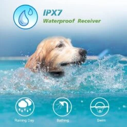 Anti Blafband EN Trainingshalsband In 1 - UNIEK SYSTEEM - 1000m Bereik - 100 Levels - Trainingsband - Antiblafband - Geluid En Vibratie/trilling - Grote En Kleine Honden - Waterdicht - Incl. E-book -Hondenspullen Verkoop 1200x1200 948