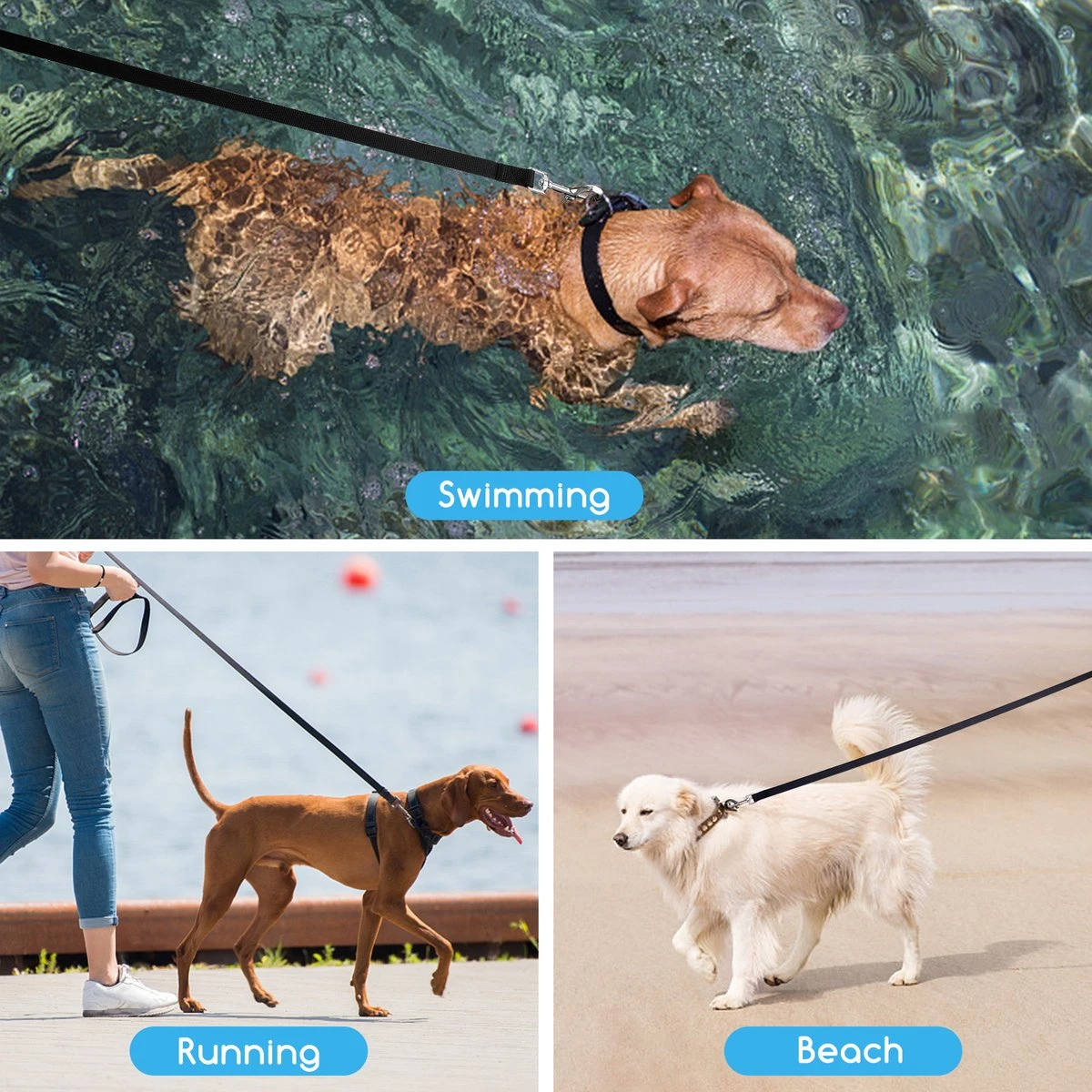 Nobleza Trainingslijn - Longeerlijn - Sleeplijn - Hondenlijn - Trainingslijn Hond - Speurlijn - 10 Meter - Zwart 7 Nobleza Trainingslijn - Longeerlijn - Sleeplijn - Hondenlijn - Trainingslijn Hond - Speurlijn - 10 Meter - Zwart - Afbeelding 5