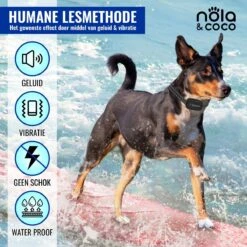 Nola & Coco® Oplaadbare Anti Blafband - 4 Kleuren - Zonder Schok - Waterdichte Diervriendelijke Blaf Halsband - Opvoedingshalsband - Voor Grote En Kleine Honden - Lichte Vibratie En Geluid - 3 Tot 60kg -Hondenspullen Verkoop 1200x1200 956