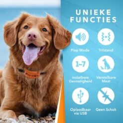 PET DOG® | Anti Blafband Voor Honden | 3 T/m 60 Kg | Oplaadbaar | Anti Blaf Band | Trainingsband | Vibratie En Geluid | Diervriendelijk | Shock Aan/uit Instelbaar -Hondenspullen Verkoop 1200x1200 961