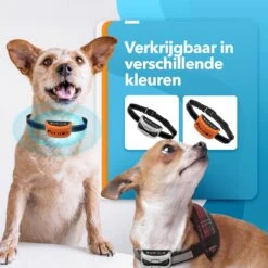 PET DOG® | Anti Blafband Voor Honden | 3 T/m 60 Kg | Oplaadbaar | Anti Blaf Band | Trainingsband | Vibratie En Geluid | Diervriendelijk | Shock Aan/uit Instelbaar -Hondenspullen Verkoop 1200x1200 965