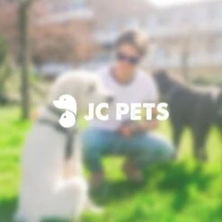 Anti Blafband - Blafband Voor Honden - Anti Blaf Apparaat - Blafband - Diervriendelijk & Zonder Schok -Hondenspullen Verkoop 1200x1200 974