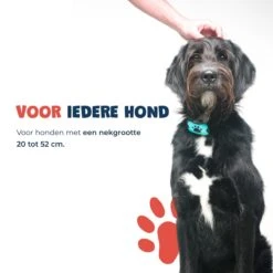 Anti Blafband - Blafband Voor Honden - Anti Blaf Apparaat - Blafband - Diervriendelijk & Zonder Schok -Hondenspullen Verkoop 1200x1200 975