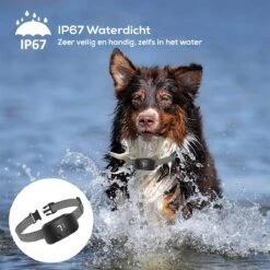 Salvano Anti Blafband - Blafband Voor Honden - Opvoedingshalsbanden - Voor Kleine En Grote Honden - Anti Blafband Zonder Schok- Oplaadbaar - Anti Blaf Apparaat - Blafband - Diervriendelijk 19 Salvano Anti Blafband - Blafband Voor Honden - Opvoedingshalsbanden - Voor Kleine En Grote Honden - Anti Blafband Zonder Schok- Oplaadbaar - Anti Blaf Apparaat - Blafband - Diervriendelijk -Hondenspullen Verkoop 1200x1200 990