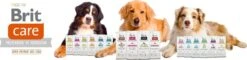 Brit Care Grain Free Puppy Salmon & Potato 12 Kg - Hond 8 Brit Care Grain Free Puppy Salmon & Potato 12 Kg - Hond -Hondenspullen Verkoop 1200x290 1