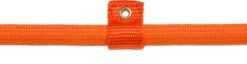 Rebel Petz - Honden Trainingslijn Met Halsband - Taupe, Zwart, Groen & Oranje - Maat Small Of Large - Kleur: Oranje, Maat: Large 26 Rebel Petz - Honden Trainingslijn Met Halsband - Taupe, Zwart, Groen & Oranje - Maat Small Of Large - Kleur: Oranje, Maat: Large -Hondenspullen Verkoop 1200x312
