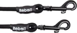 Rebel Petz - Dubbele Verstelbare Hondenriem Voor Twee Honden - Met Draaibare Sluiting En Zacht Handvat - Small En Large - Small (140 Cm Lang, Ø 8 Mm) 35 Rebel Petz - Dubbele Verstelbare Hondenriem Voor Twee Honden - Met Draaibare Sluiting En Zacht Handvat - Small En Large - Small (140 Cm Lang, Ø 8 Mm) -Hondenspullen Verkoop 1200x523 1