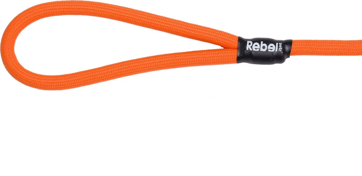 Rebel Petz - Honden Trainingslijn Met Halsband - Taupe, Zwart, Groen & Oranje - Maat Small Of Large - Kleur: Oranje, Maat: Large 5 Rebel Petz - Honden Trainingslijn Met Halsband - Taupe, Zwart, Groen & Oranje - Maat Small Of Large - Kleur: Oranje, Maat: Large - Afbeelding 3