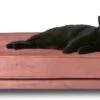 Maxxpro Katten- En Hondenbank - Roze - Verhoogd Met Houten Poten - Fluweel Materiaal - 90 X 44 X 34 CM - Huisdieren Tot 80 KG -Hondenspullen Verkoop 1200x585 8