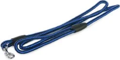 Merkloos Slipriem - Nylon - Riem Voor Hond - Blauw -Hondenspullen Verkoop 1200x596