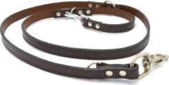 Verstelbare Trainingslijn Leer - 2 Meter - Bruin - Politielijn - Hondenriem - Hoge Kwaliteit Leer - Trainingslijn - Ambachtelijk Gemaakt In Portugal -Hondenspullen Verkoop 1200x601