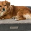 Trixie Hondenmand Sofa Bendson Orthopedisch Grijs (80X60 CM) -Hondenspullen Verkoop 1200x610 1