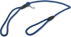 Merkloos Slipriem - Nylon - Riem Voor Hond - Blauw -Hondenspullen Verkoop 1200x629