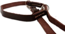 Multifunctionele Hondenriem - 220cm - Bruin - Leren Hondenriem - 100% Volnerfleer - Hondenriem Leer - Leiband Hond 16 Multifunctionele Hondenriem - 220cm - Bruin - Leren Hondenriem - 100% Volnerfleer - Hondenriem Leer - Leiband Hond -Hondenspullen Verkoop 1200x631 1